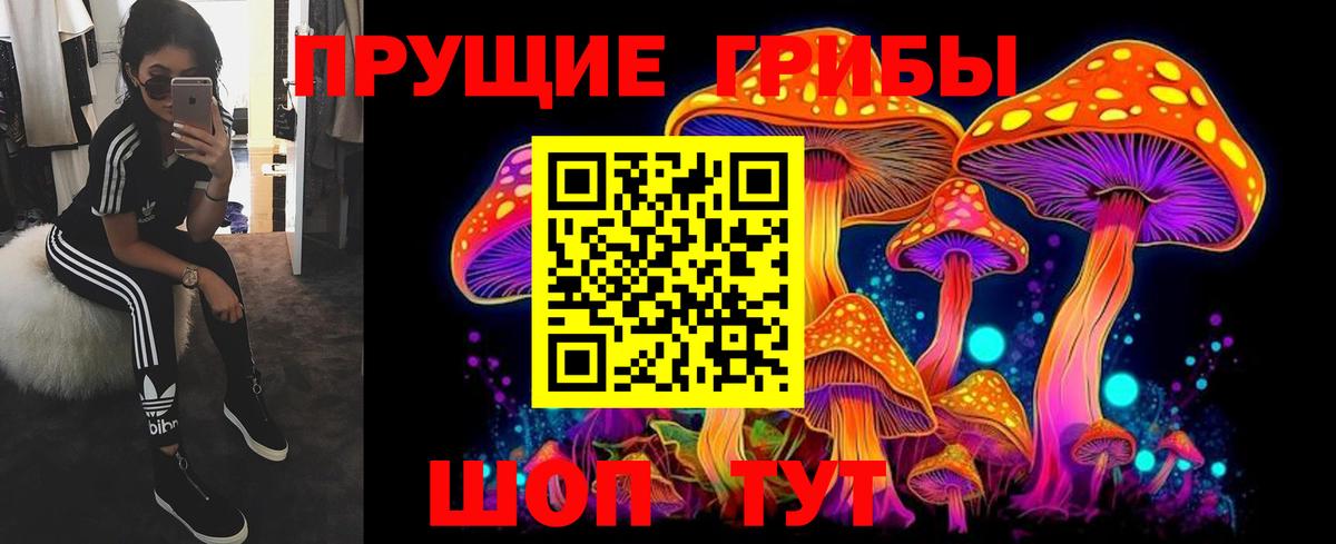 Галлюциногенные грибы мицелий Георгиевск